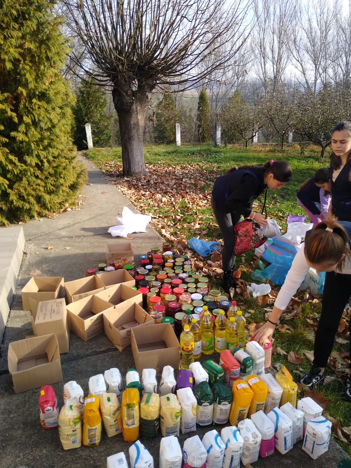 WhatsApp Image 2024-11-19 at 10.00.57 (2)